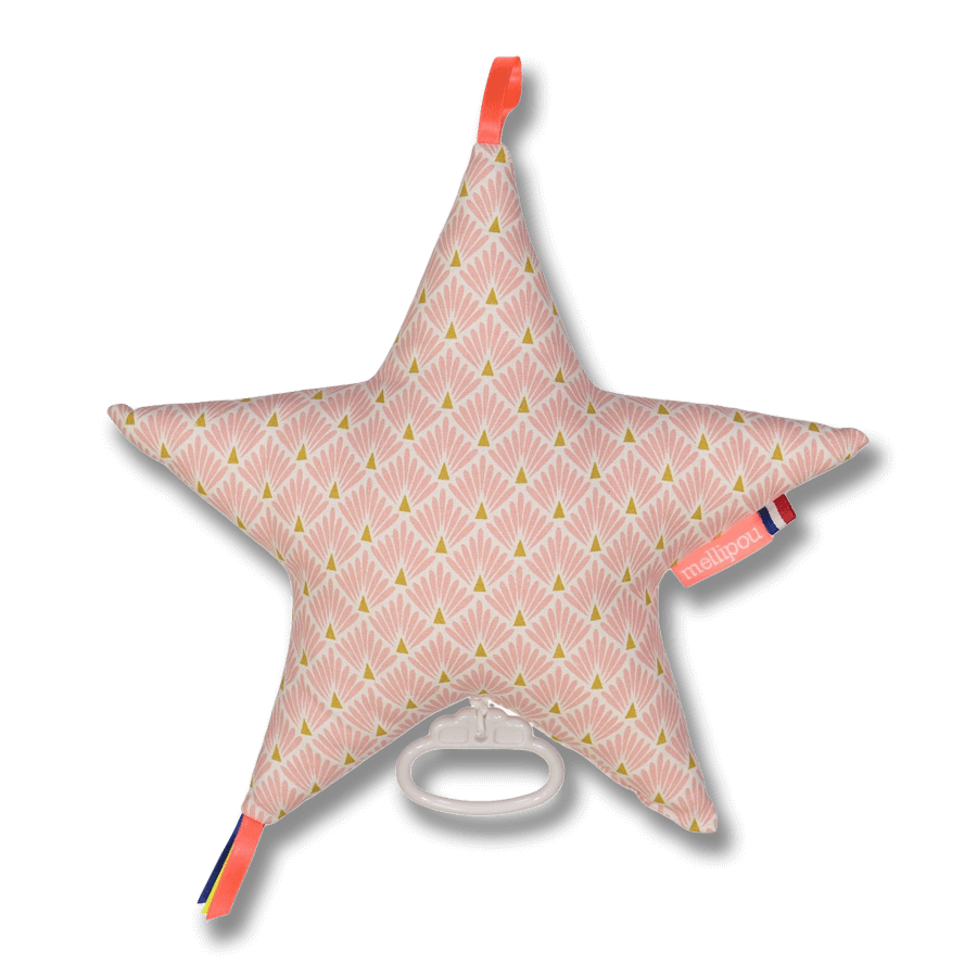 Etoile Amy Rose speldosa - Amelie Poulain