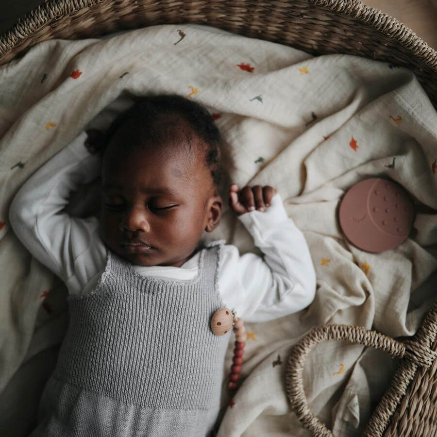 Mushie muslinfilt – Dinosaurs