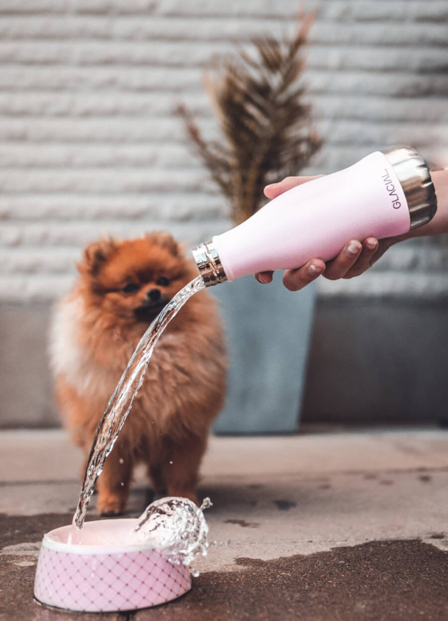 Hållbar vattenflaska - Matte Pink Powder 280ml